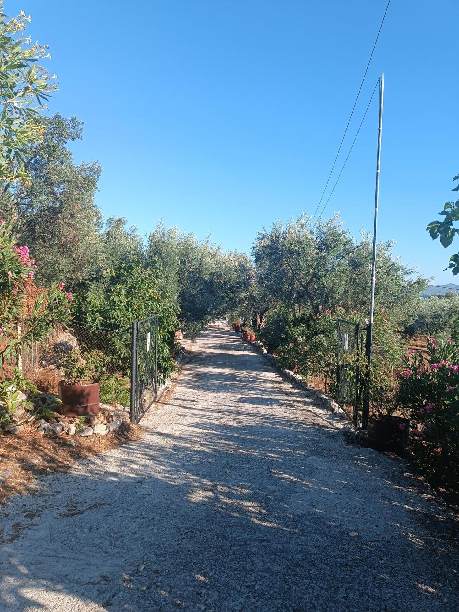 Exotic House * Mytilene