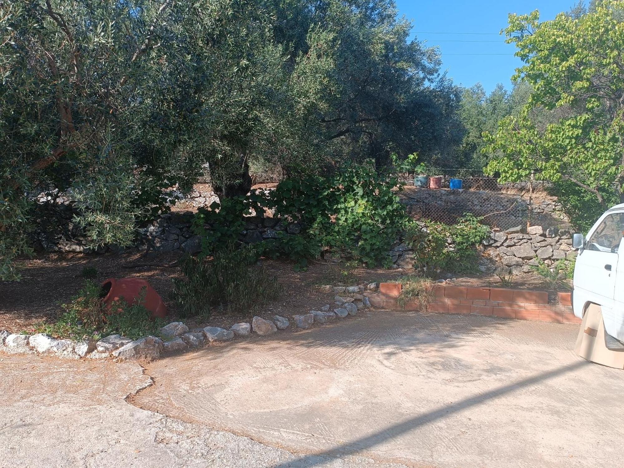 Exotic House Mytilene