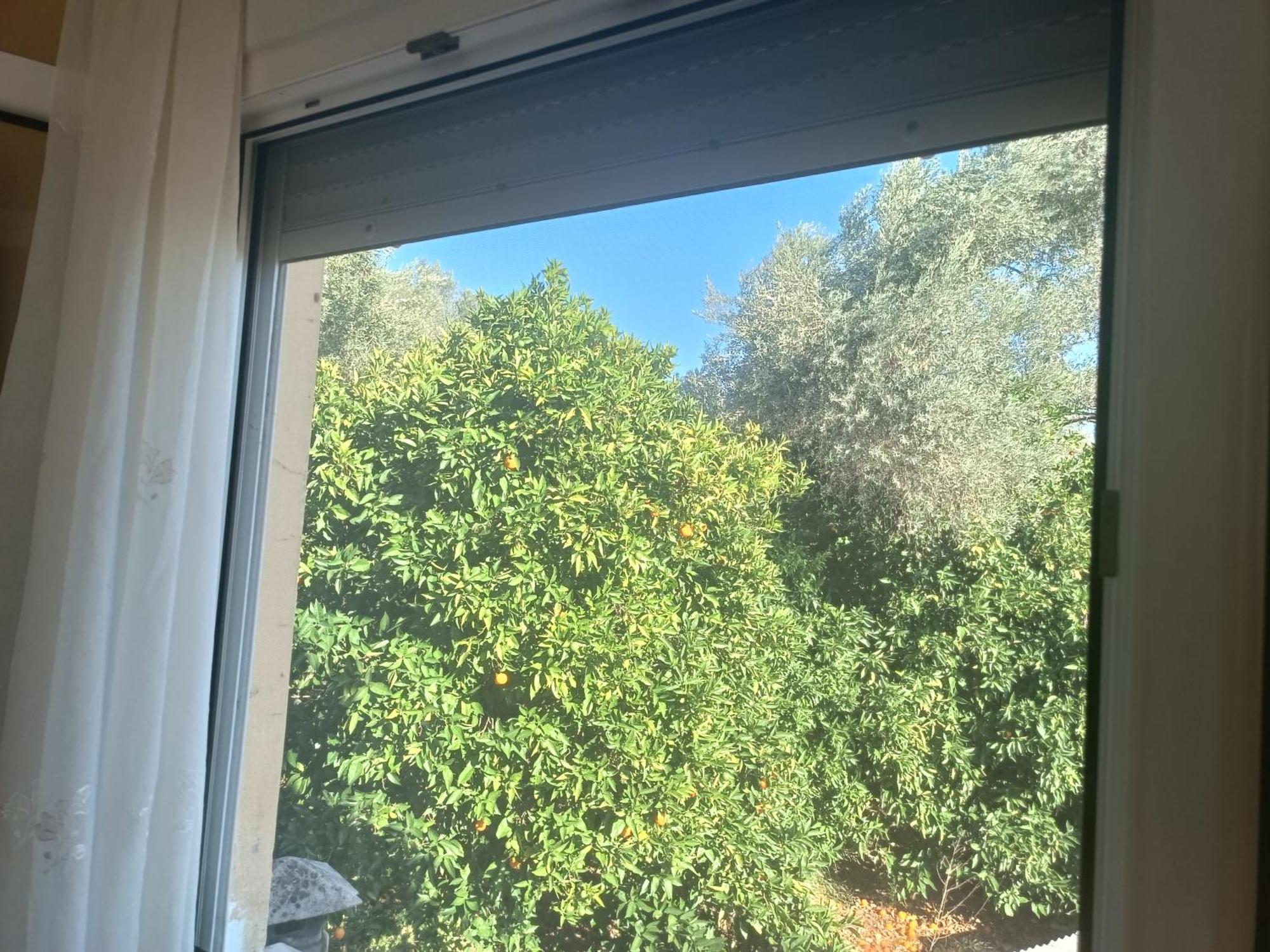 Holiday home Exotic House Mytilene