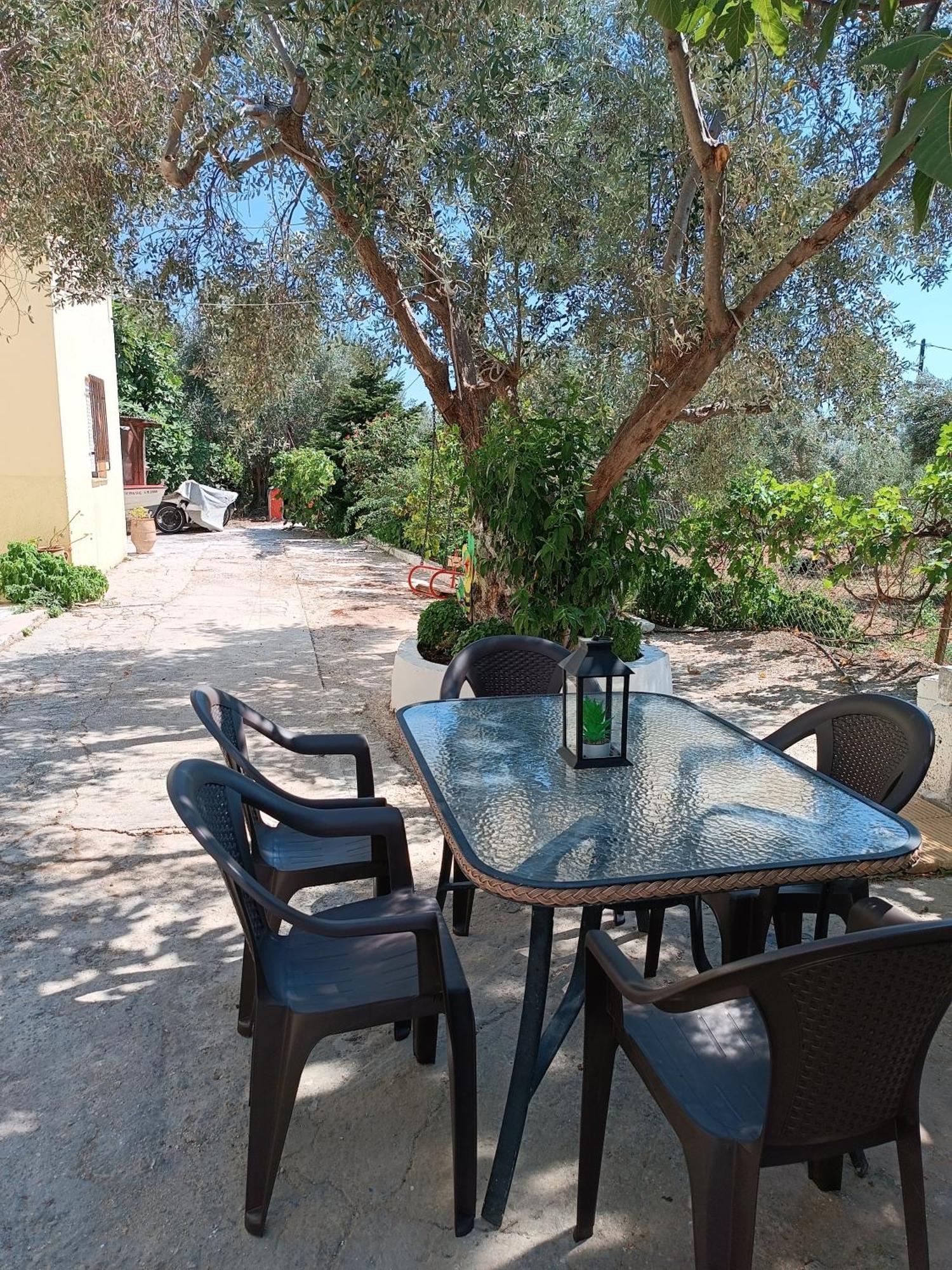 Exotic House * Mytilene